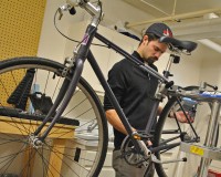 purple-bikes