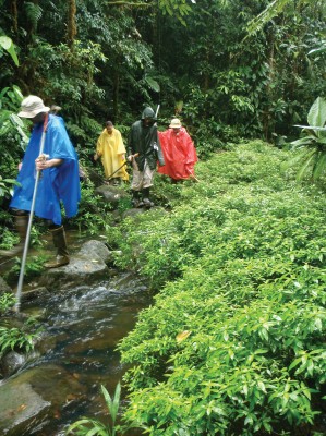 Mud, slick rocks, and the tropical rainforest itself all make getting to and from research spots especially challenging.