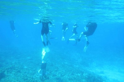 A photo by Ben Greenstein of students doing research in the Bahamas.