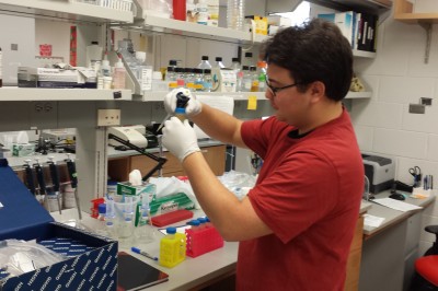 David Yamaguchi in the lab at his fellowship at the University of Iowa.