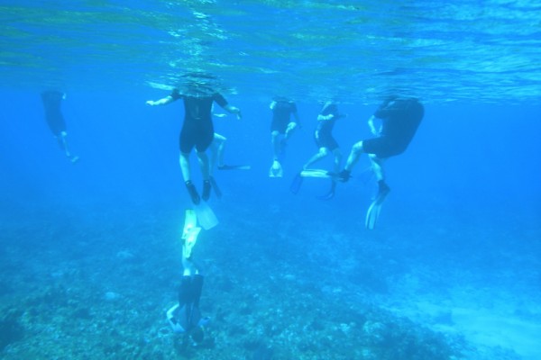 Students explore underwater geology in this photo by Professor Ben Greenstein.