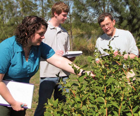 Seniors Audrey Saunders and Jeff Curran examine blueberry plants alongside President Les Garner while performing a case study in Montevideo, Uruguay. The case study was sponsored by the Berry Center. 