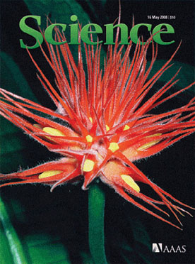 Condon took the photo that appeared on the Science cover. 