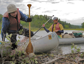 Students Mackenzie Chase and Chris Marzen negotiate a beaver dam in the Boundary Waters Canoe Area Wilderness as part of a 2008 Wilderness Politics course. (Photo by Craig Allin)