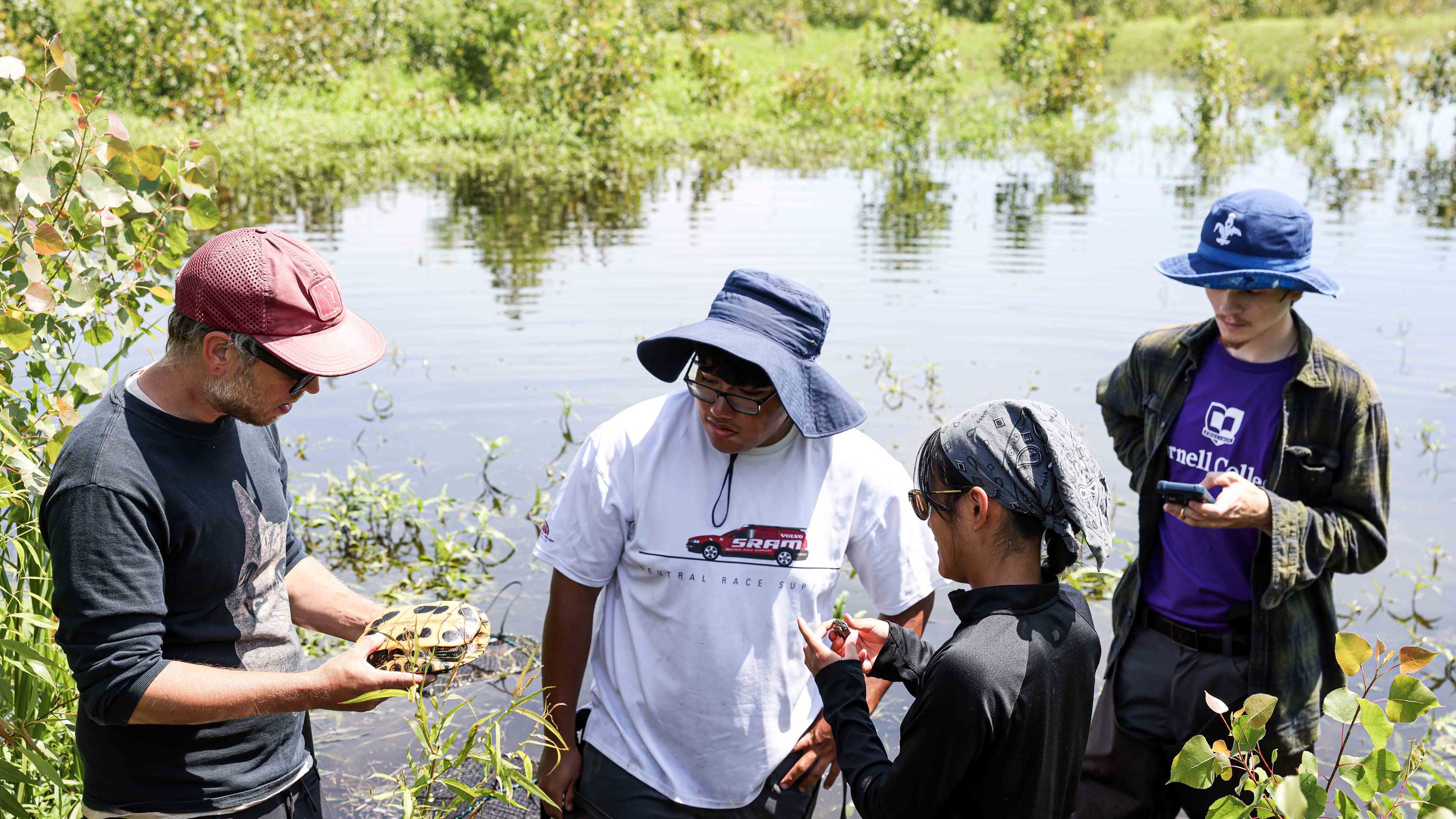 Three students stand by a wetland as their professor shows them a turtle.