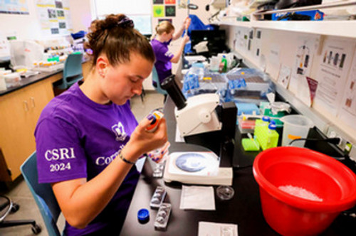 Students work in a lab with their professor