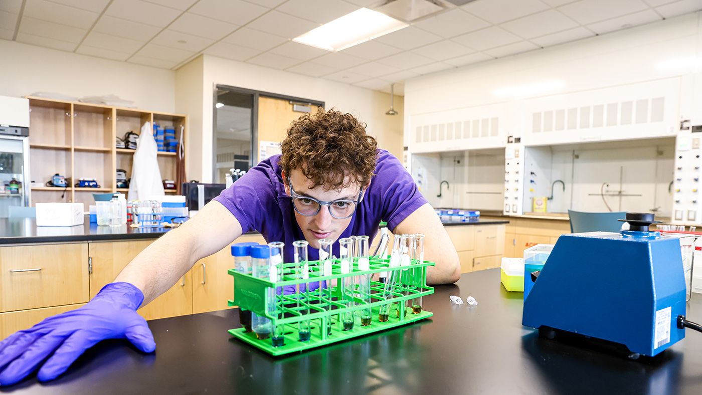 Callum McAllister looks at an experiment in a lab.