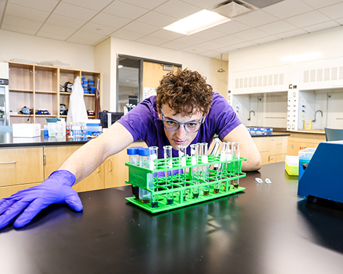Callum McAllister examines a science experiment in a lab.