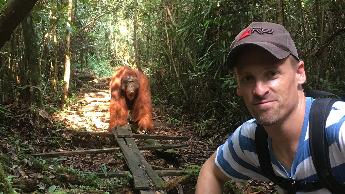 While visiting Indonesia’s Tanjung Puting National Park and its orangutan preserve, Scott Smiley ’96 came across this orangutan