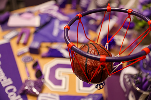 Several purple things, including a purple small basketball hoop, on a table.