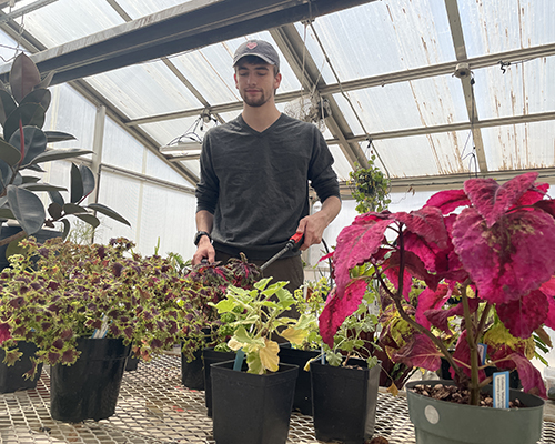 Sam working in the greenhouse, watering plants.