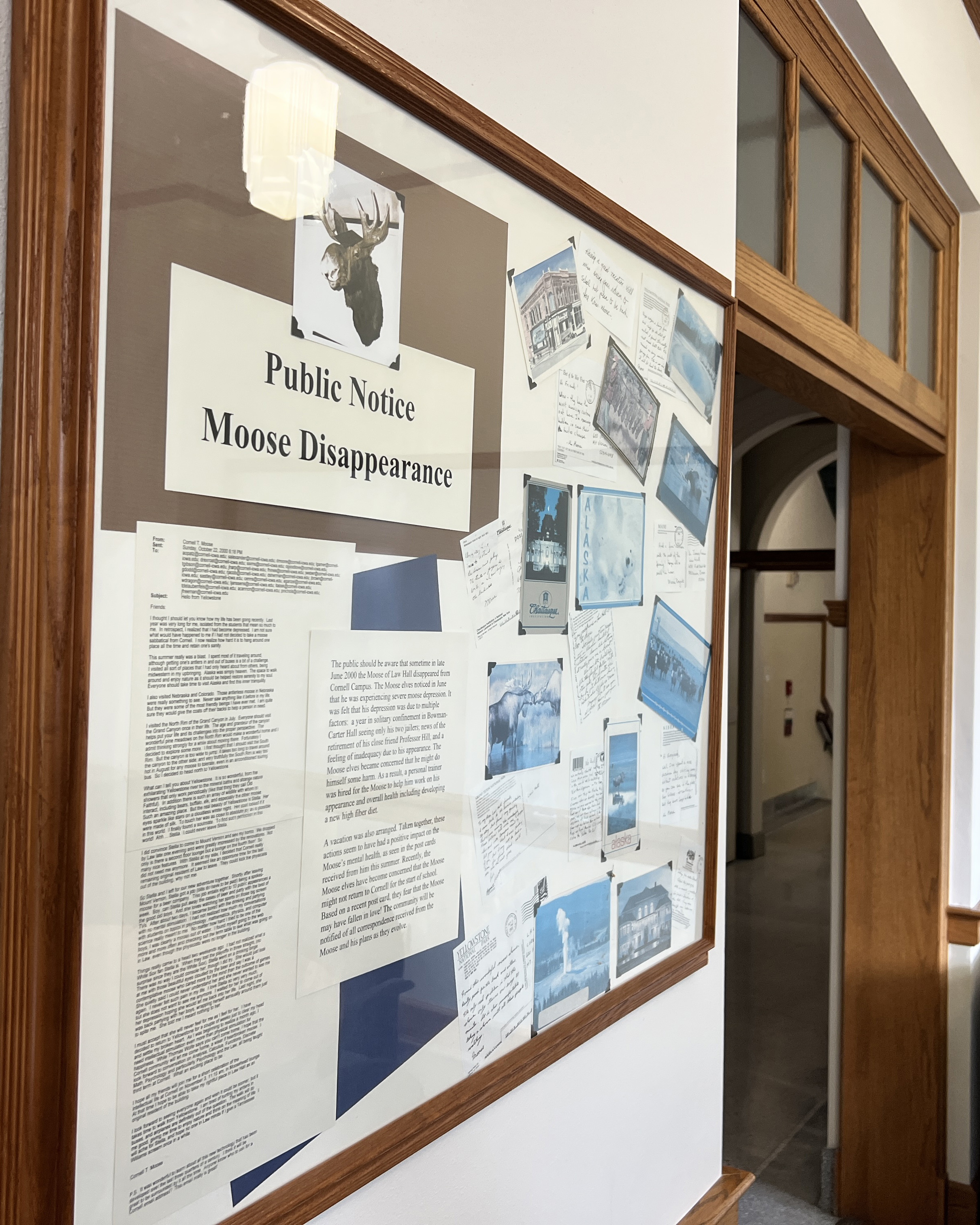 A bulletin board of the adventures Cornell T. Moose went on in summer of 2000