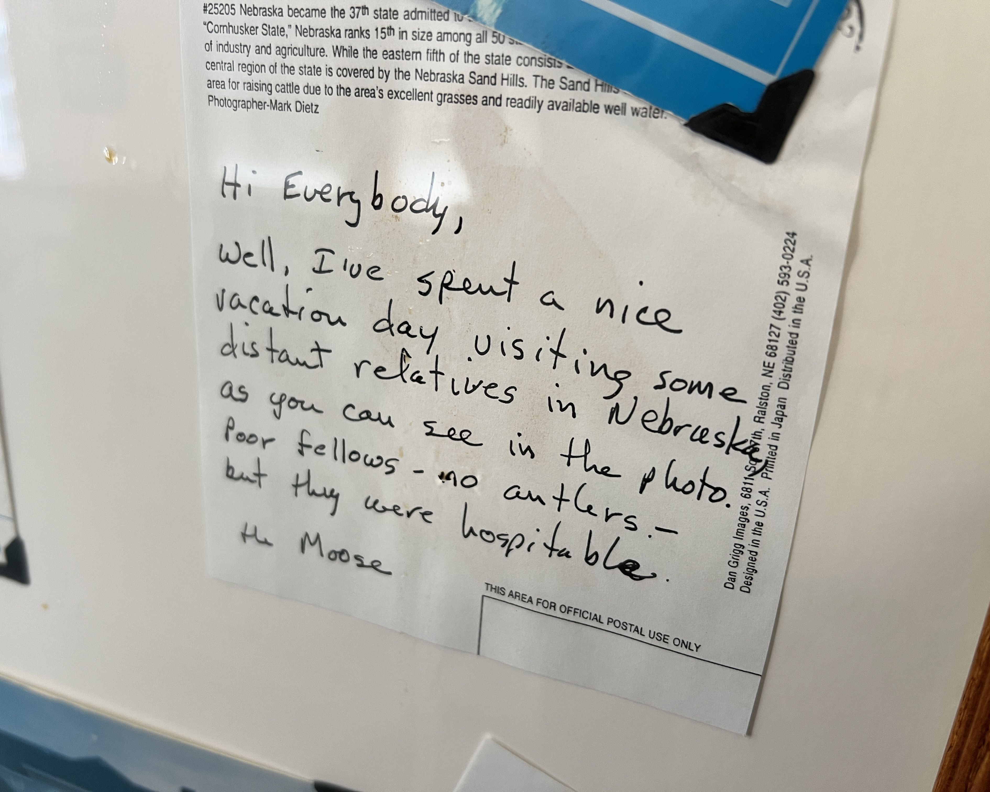 A postcard from one of Cornell T. Moose's adventures in summer of 2000