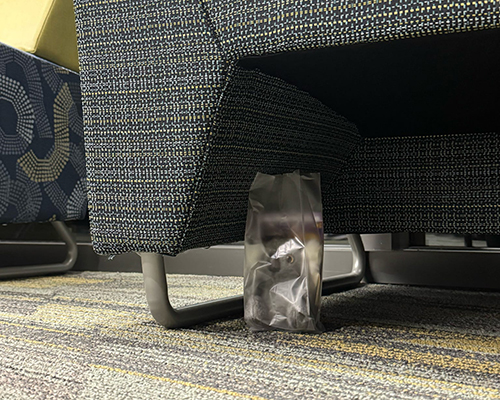 Koala keychains were hidden around campus as part of the Ulysses scavenger hunt.