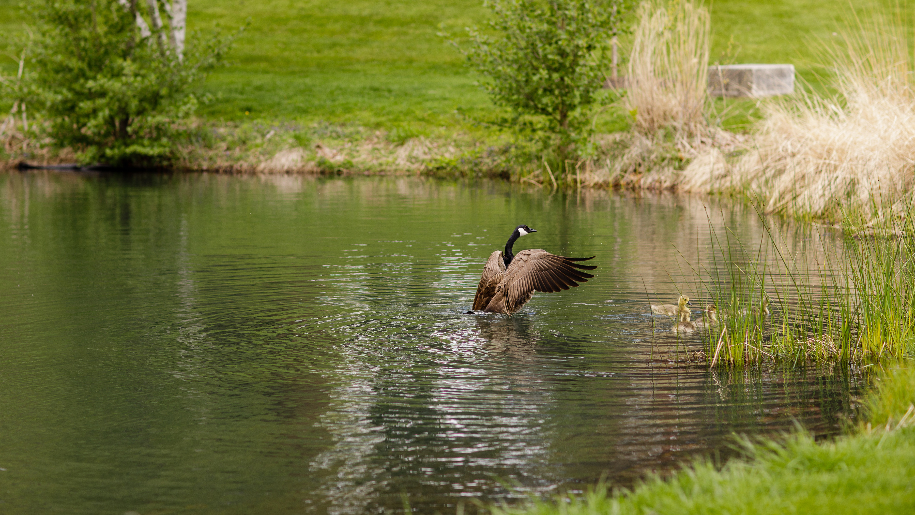 College isn’t just about what you learn—it’s also about what you come to love.