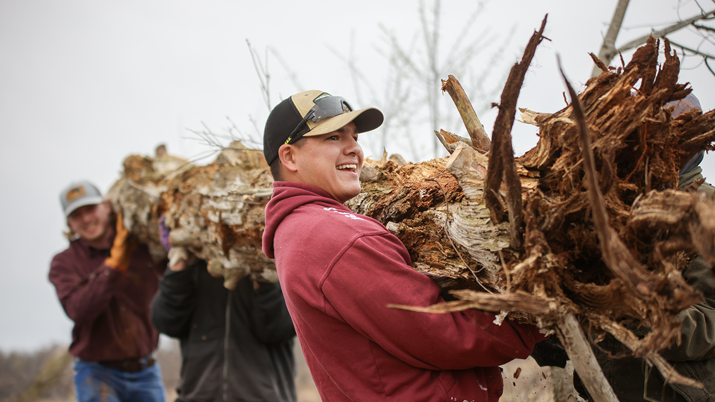 Students clearing an invasive species during Conversation Biology.