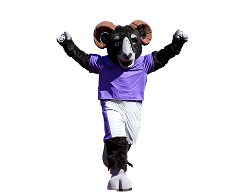 The Cornell College mascot Ulysses the Ram.