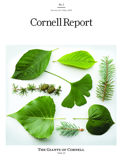 leaves on cover of issue, Fall 2019