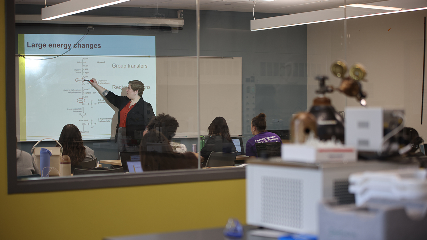 Volle teaches in a Cornell College classroom