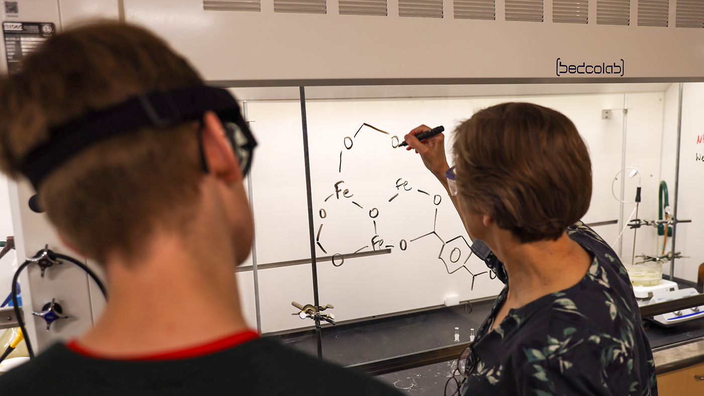 Back in October, the Nobel Prize in chemistry was awarded to three scientists for creating metal-organic frameworks. Now, Cornell scientists are building on that breakthrough and exploring what the compounds can do. 
