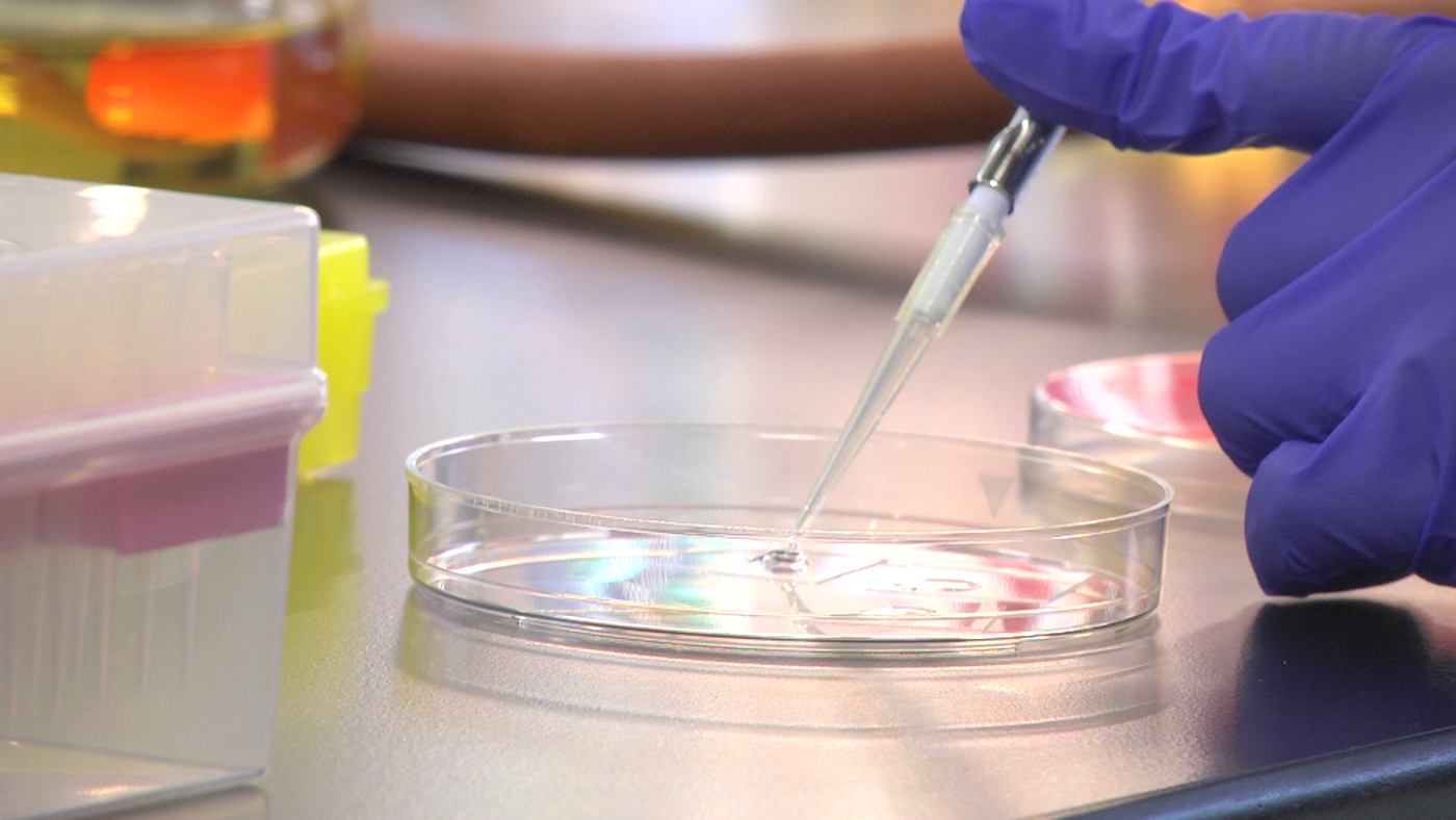 Student works in a petri dish.