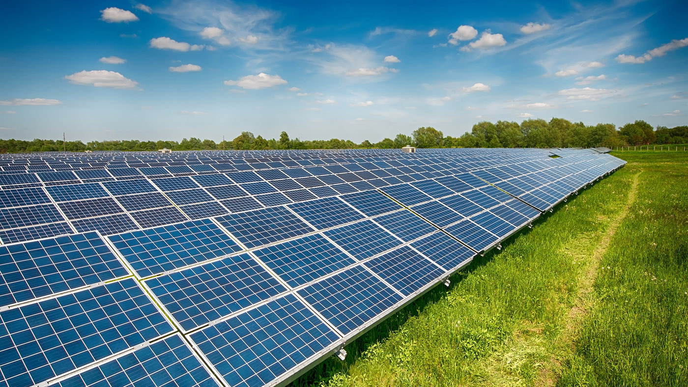 Solar panels in a field