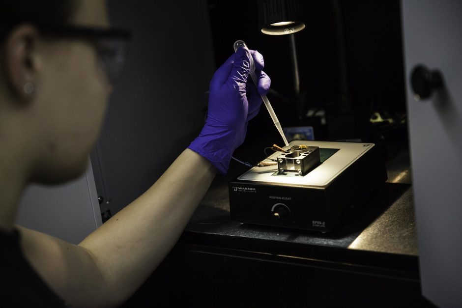 Students research in Professor Jai Shanata's lab 4