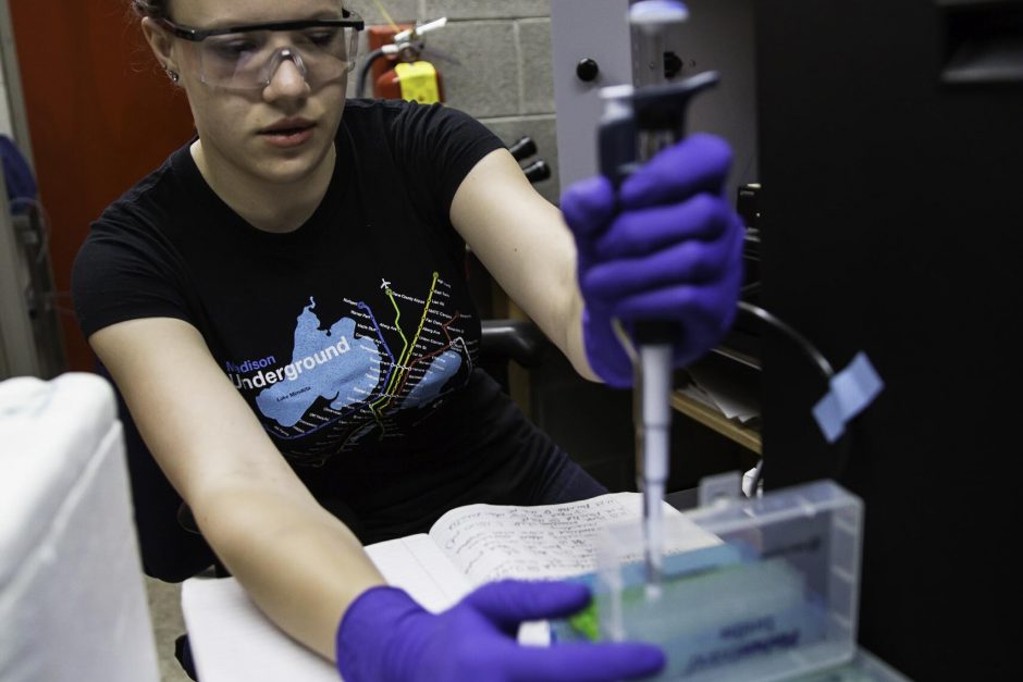 Students research in Professor Jai Shanata's lab 5