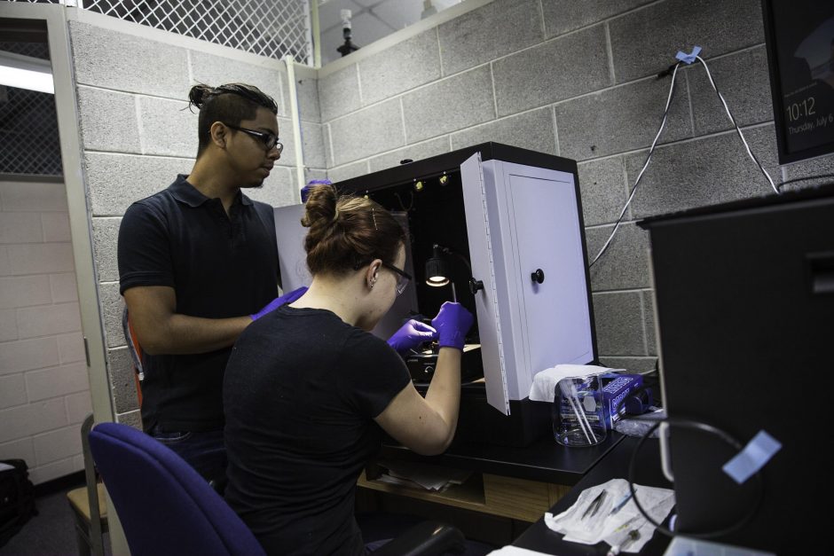 Students research in Professor Jai Shanata's lab 1