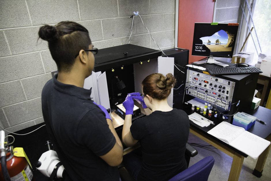 Students research in Professor Jai Shanata's lab 9