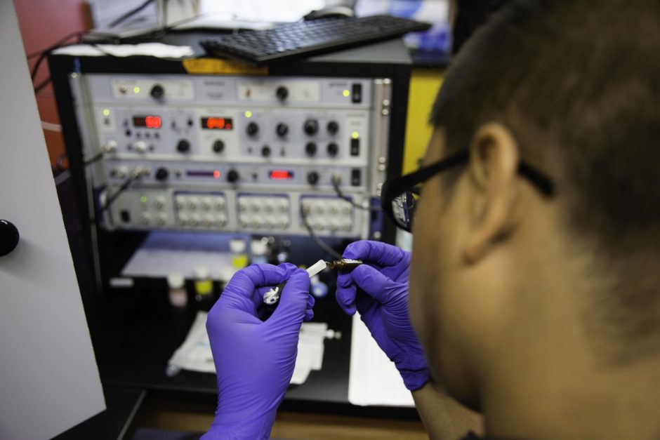 Students research in Professor Jai Shanata's lab 7