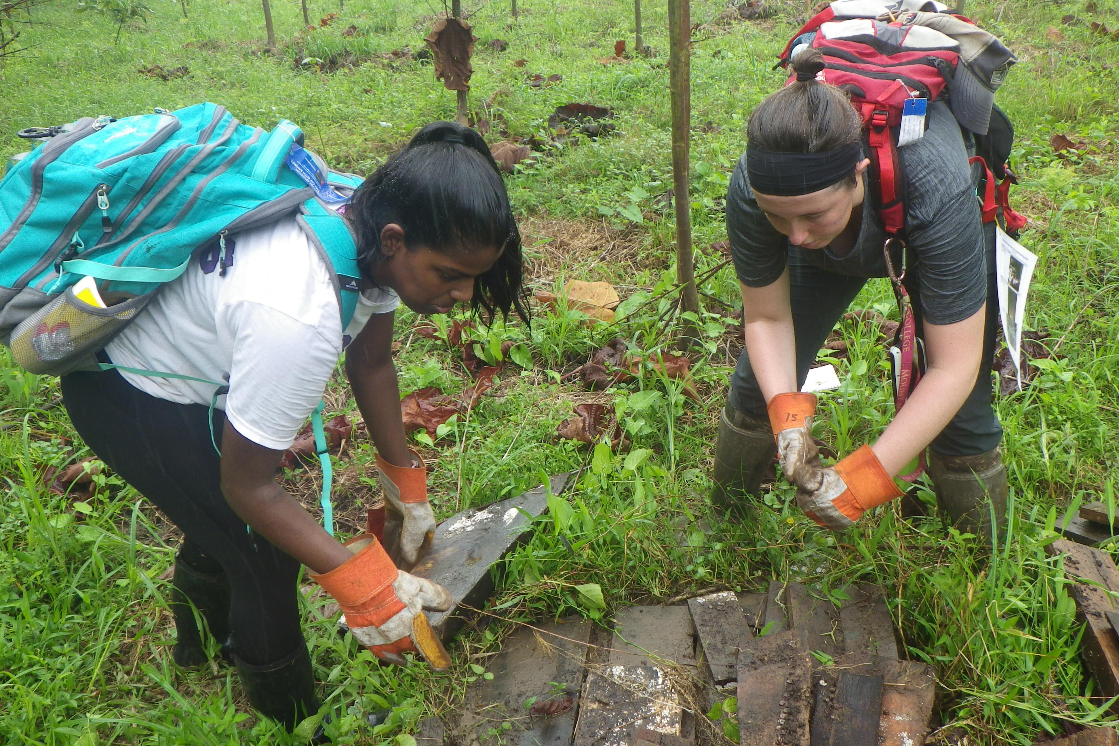 Costa Rica course explores biological problems | Cornell College