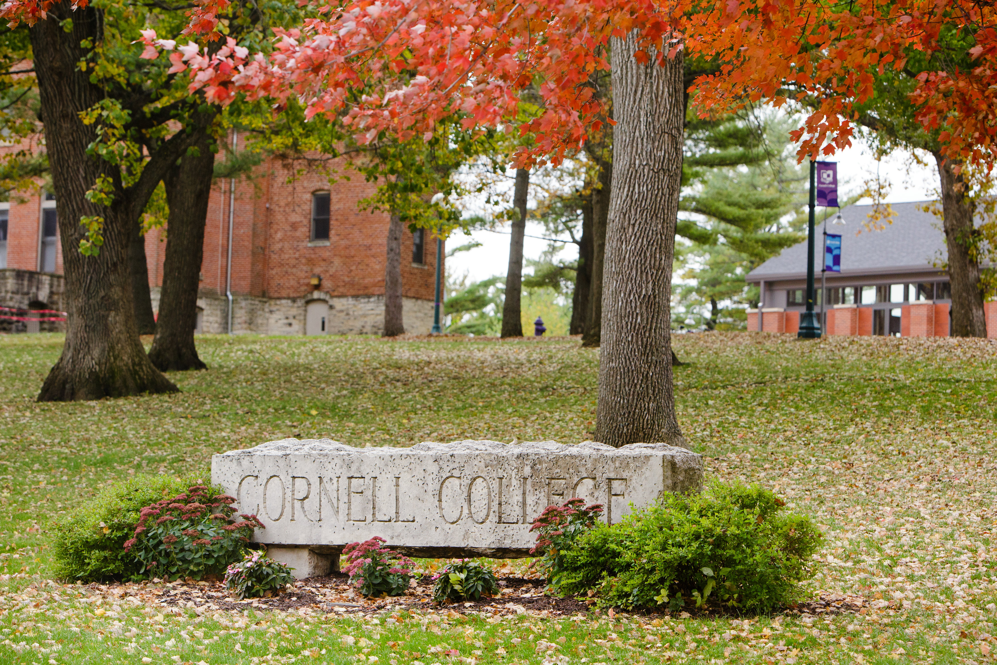 Fall Colors - 2014-0053