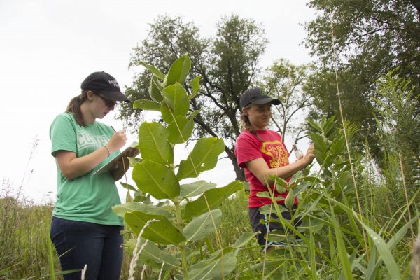 Students studying milkweek in a prairie