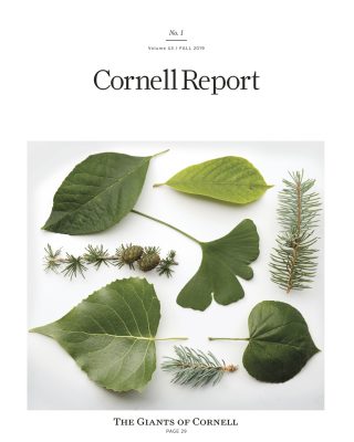 Fall 2019 Cornell Report cover