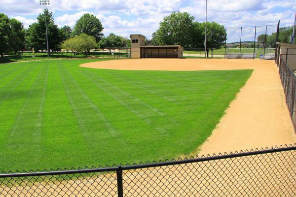 Mount Vernon Softball Complex