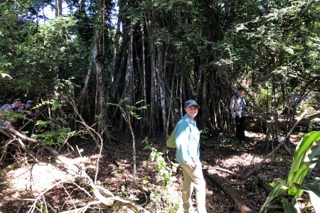 Erin Hosto in rainforest