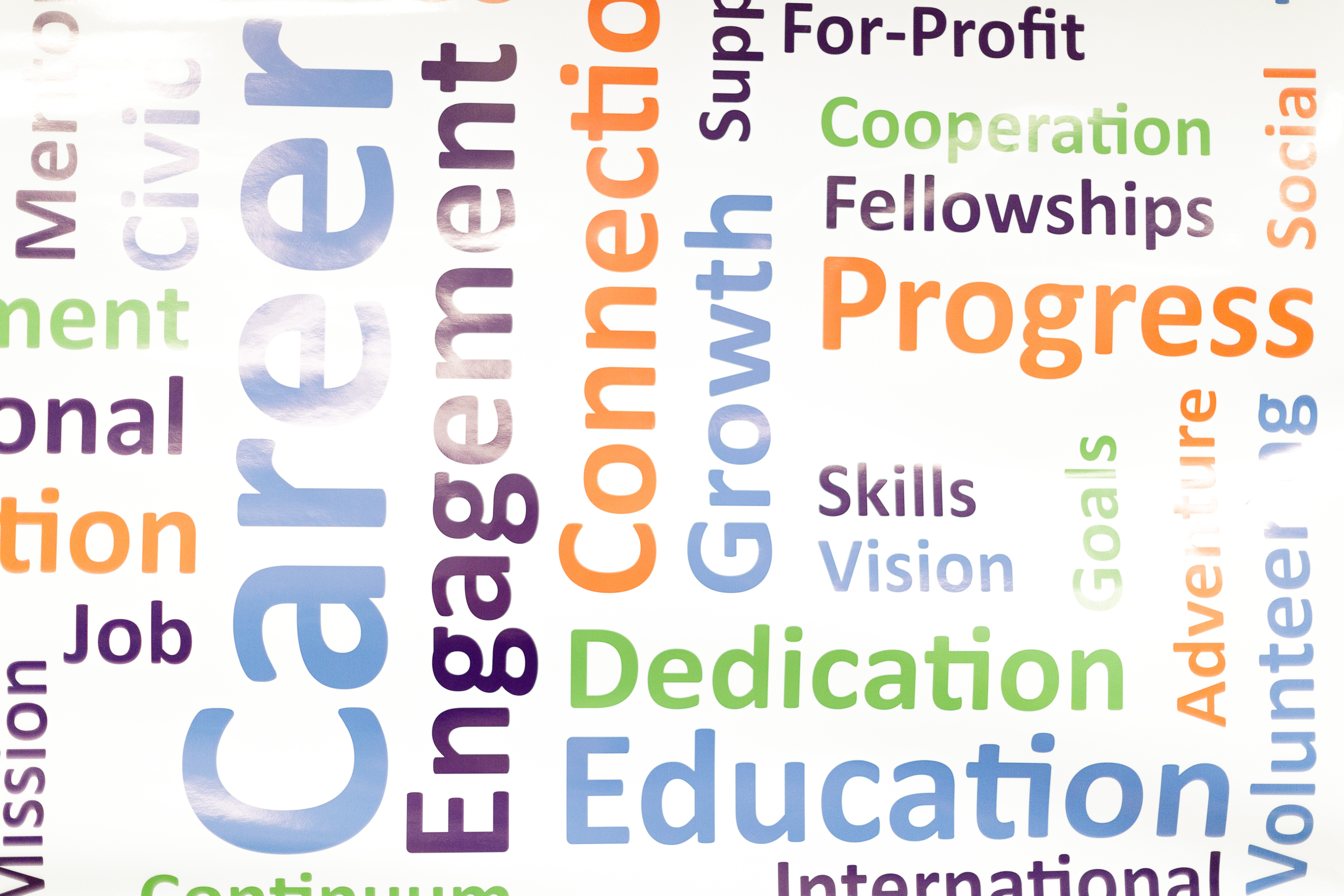 Berry Career Institute Wall Hanging