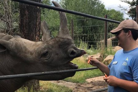 Nate feeling a rhino.