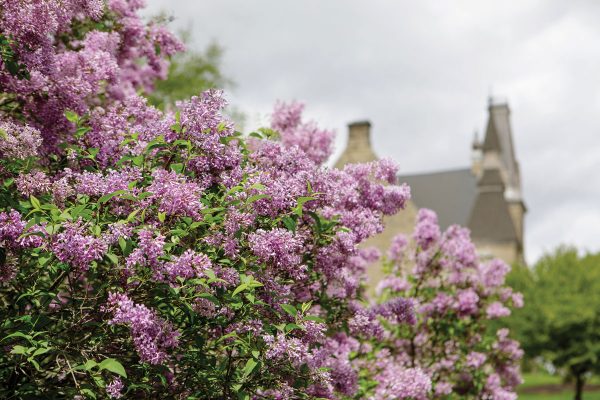 Five Cornell College professors have been awarded a total of $32,250 in grants to create and use Open Educational Resources (OER) in upcoming classes. 