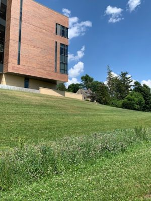 Cornell's bioswale helps filter rain water running down the hill. Students plan to expand upon what's currently built behind Russell Science Center. 