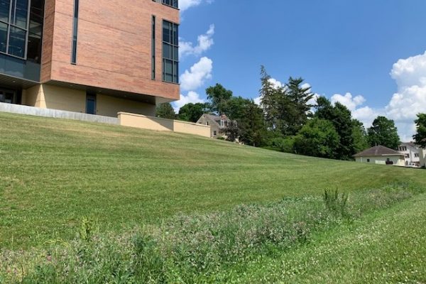 In just one block Cornell College Environmental Biology students have created a plan to reduce the campus’s impact on the environment.