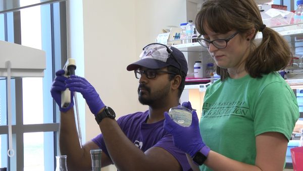 Annika Sutter and Alexander Bajoon work in the lab during CSRI.