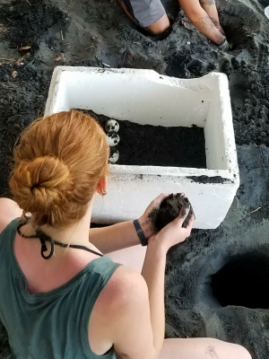 Sarah Palmer '19 studying sea turtle conservation during her Cornell Fellowship in Costa Rica