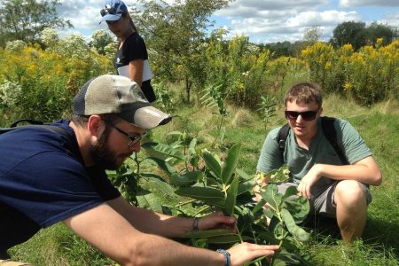 Professor of Biology Tammy Mildenstein and Cornell College students conduct a monarch butterfly survey in a field of milkweed.