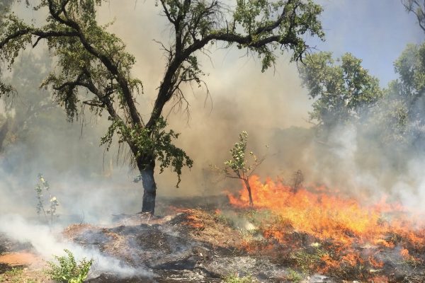 The National Science Foundation (NSF) has awarded Cornell College W.H. Norton Professor of Geology Rhawn Denniston a $199,785 grant to study the use of stalagmites as records of prehistoric fire activity in the Australian tropics. This grant follows a previous proof-of-concept grant awarded to Denniston by NSF in 2018 where Denniston’s team demonstrated that stalagmites […]