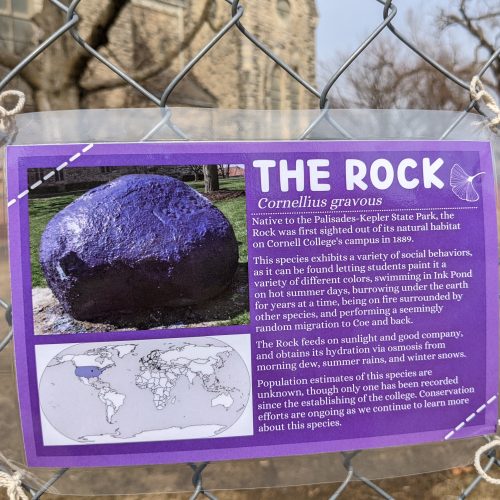 Belou Quimby ’19 used her imagination to create a species label and affixed it to the fence entrapping The Rock.