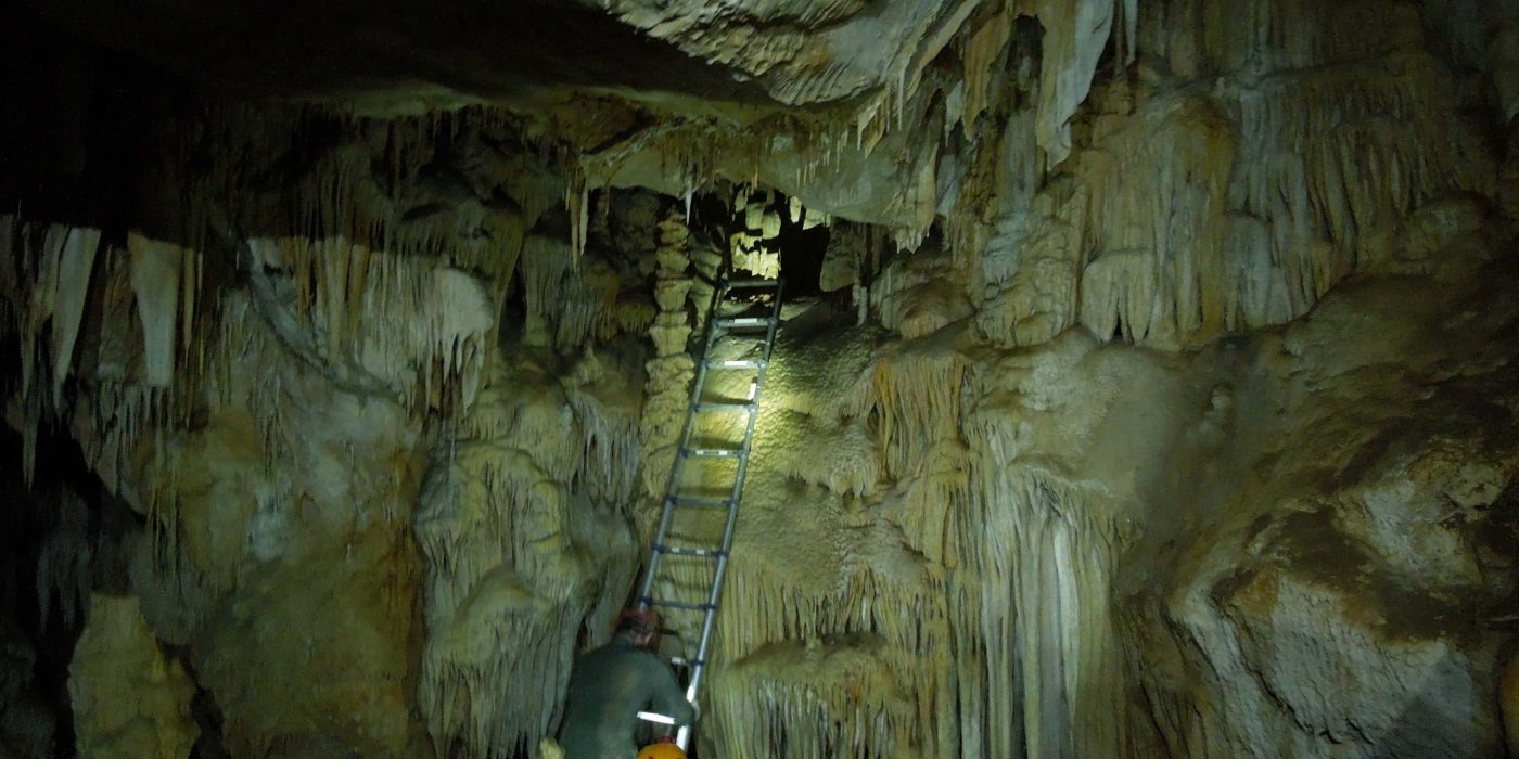 A photo of a woman looking up a ladder in a cave