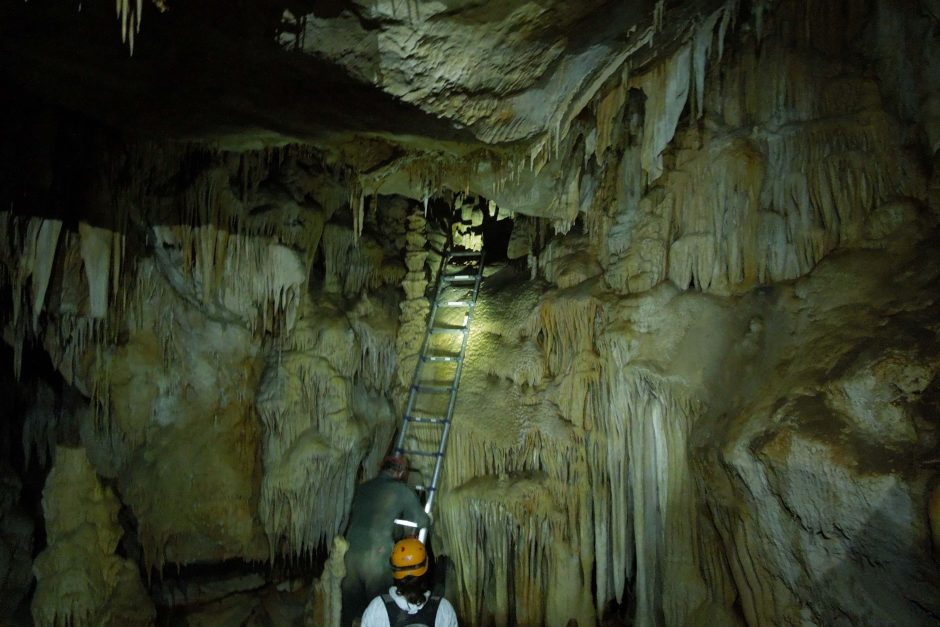 A photo of a woman looking up a ladder in a cave