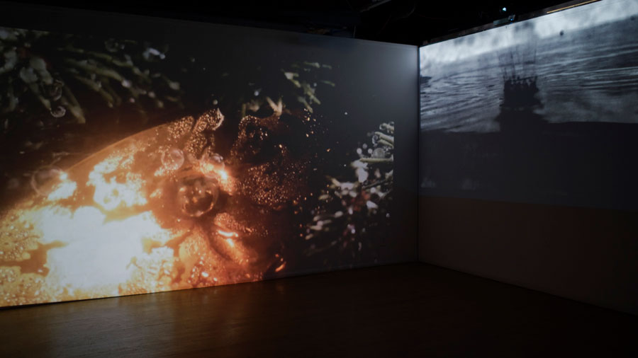 View of a video installation by Michigan artist Cynthia Greig.